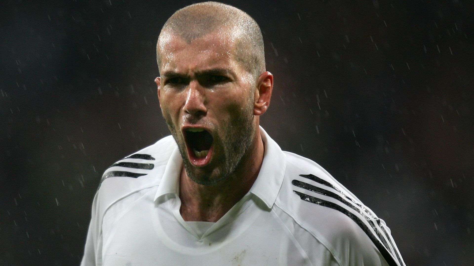 疑惑自己是 疑惑自己是